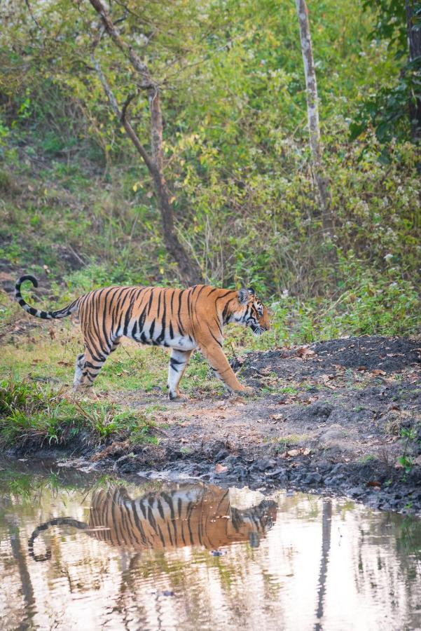 Kaav Safari Lodge, Kabini Begūr Εξωτερικό φωτογραφία