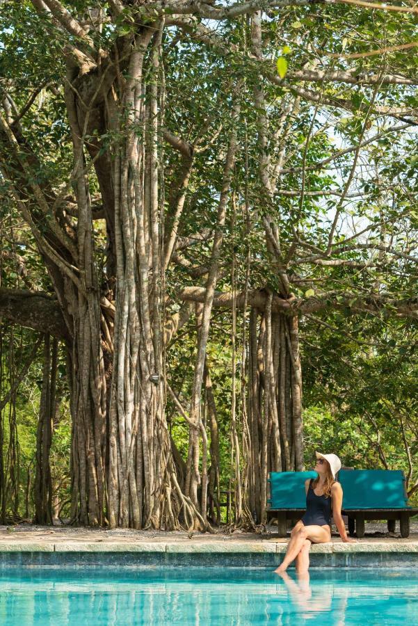 Kaav Safari Lodge, Kabini Begūr Εξωτερικό φωτογραφία