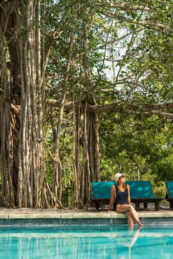 Kaav Safari Lodge, Kabini Begūr Εξωτερικό φωτογραφία