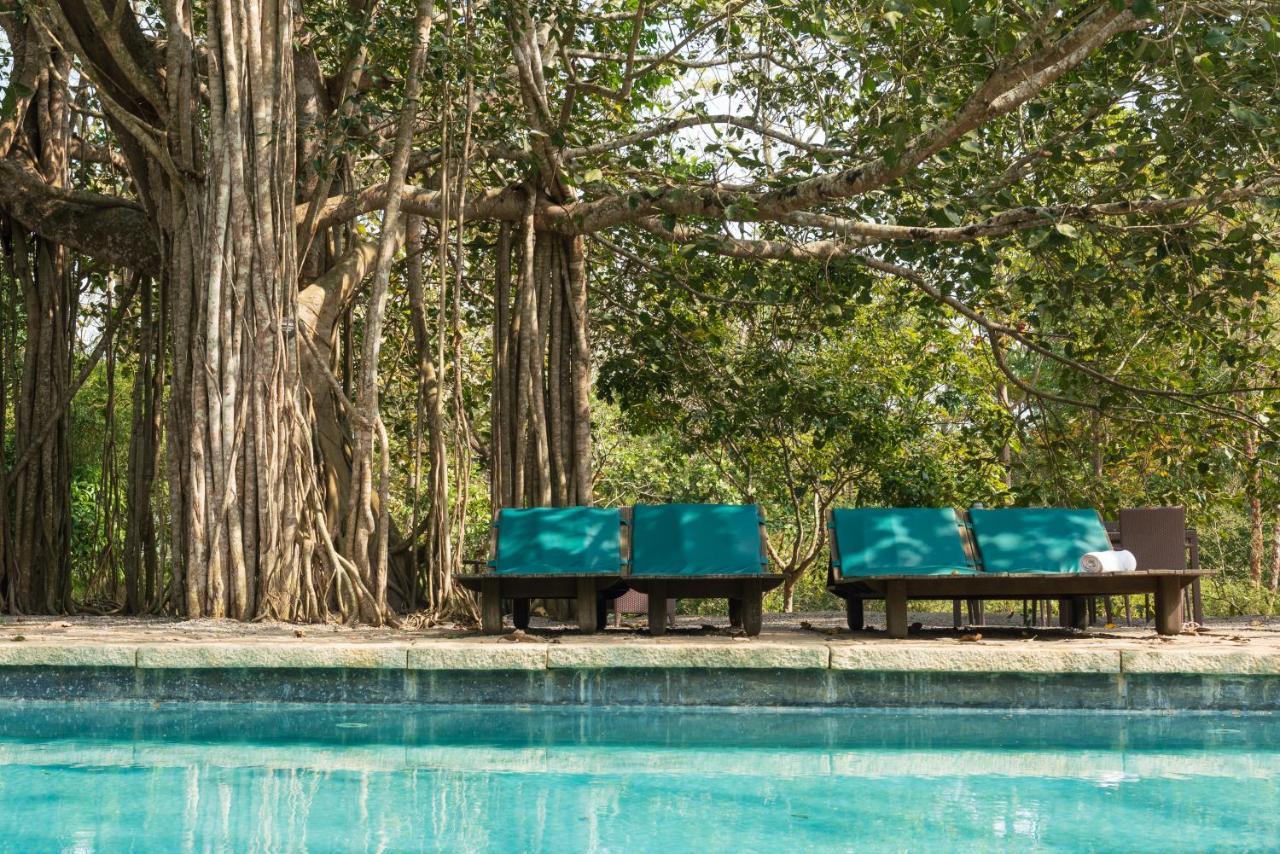 Kaav Safari Lodge, Kabini Begūr Εξωτερικό φωτογραφία
