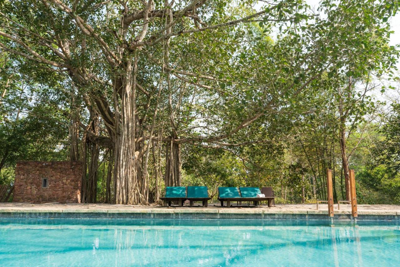 Kaav Safari Lodge, Kabini Begūr Εξωτερικό φωτογραφία