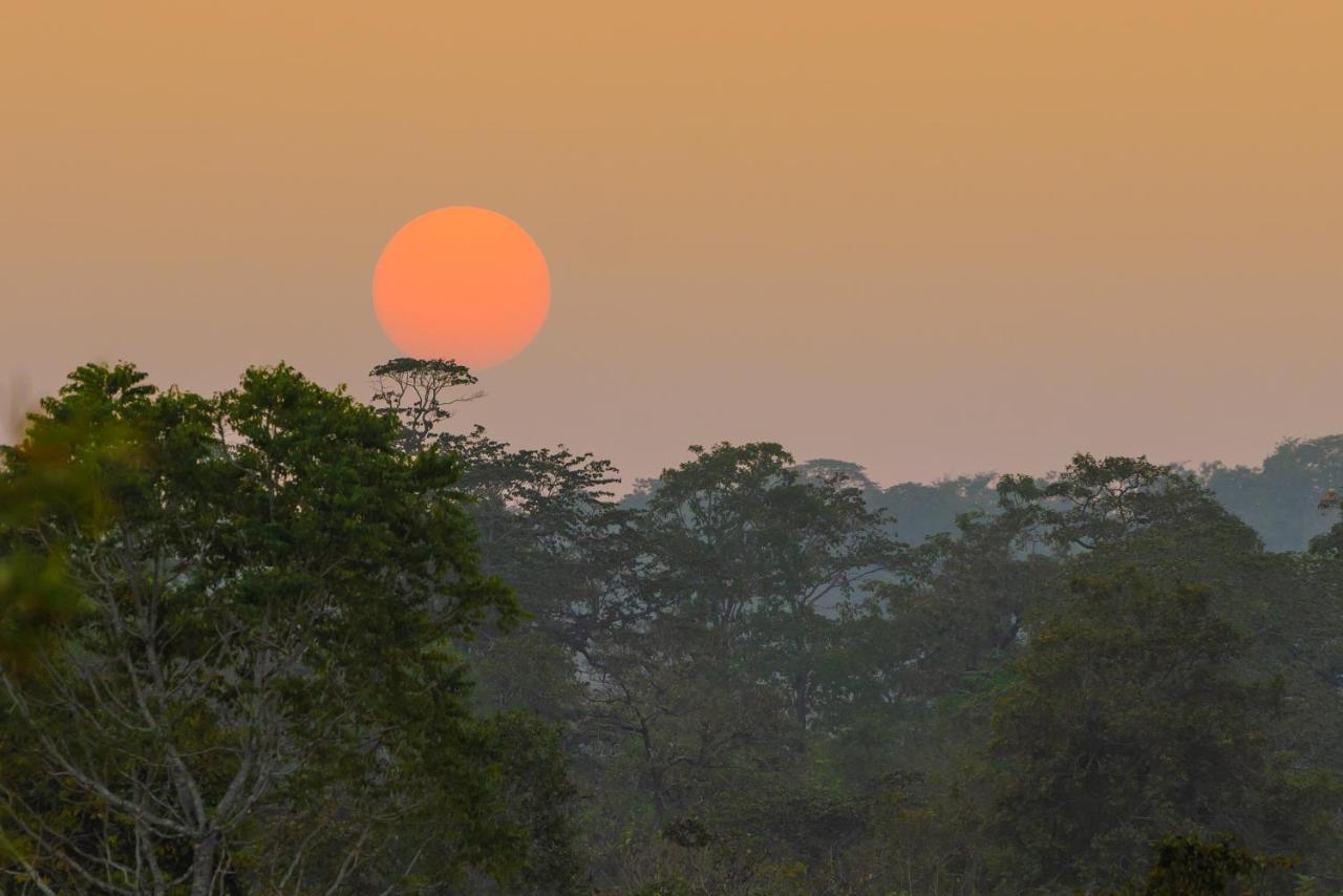 Kaav Safari Lodge, Kabini Begūr Εξωτερικό φωτογραφία